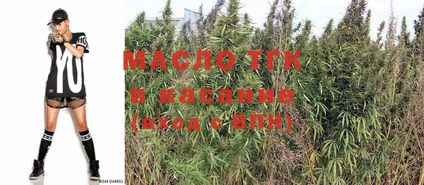 мдпв Зеленодольск