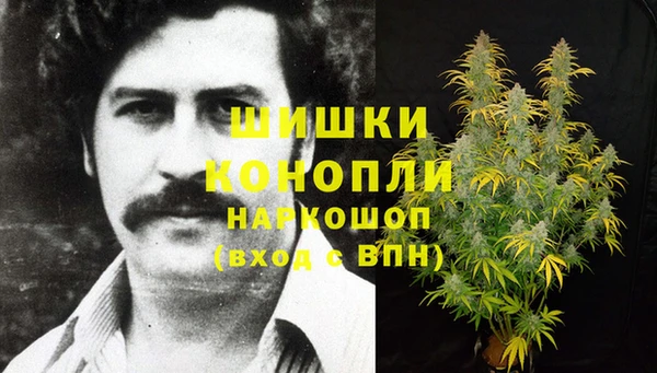 мдпв Зеленодольск