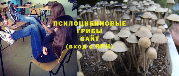 мдпв Зеленодольск