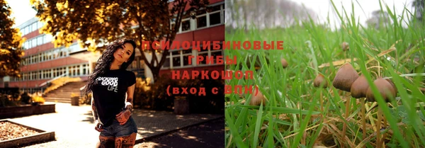 мдпв Зеленодольск