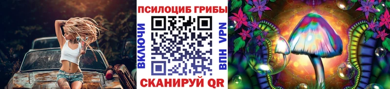 Псилоцибиновые грибы мицелий  Сухиничи 